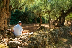 Painter in the Olive Grove