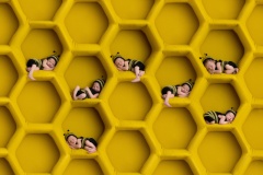 03