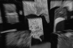 19-SH