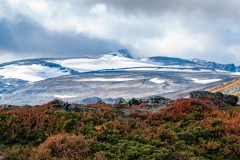 Jotunheimen