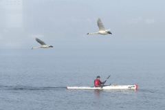 07 - tc_d2