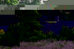 07_FEL_P2
