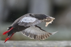 02_LB_p1
