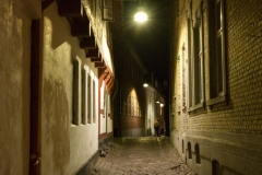 08_LNJ_P1