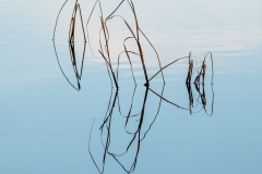 11_FE_P2