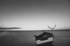 13_SMS_p2