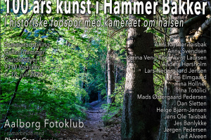 Hammer Bakker udstilling